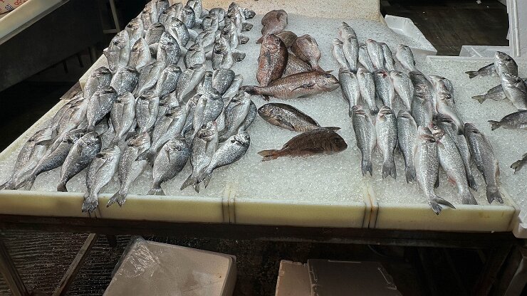 IMG_2114-34 Fish Market